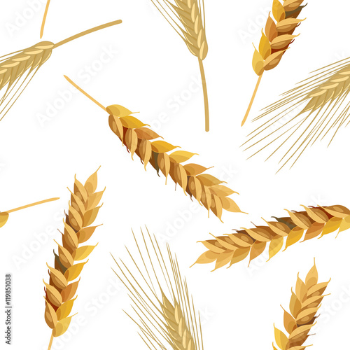 wheat and rye ears seamless pattern