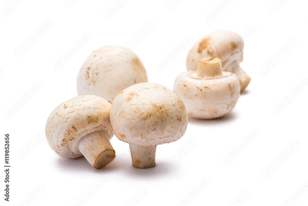 Five Champignon Mushrooms Isolated on White Five Champignon Mushrooms Isolated on White