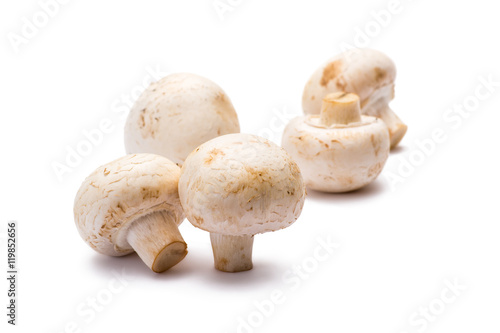 Five Champignon Mushrooms Isolated on White
