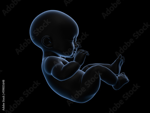 3d rendering x-ray of baby.