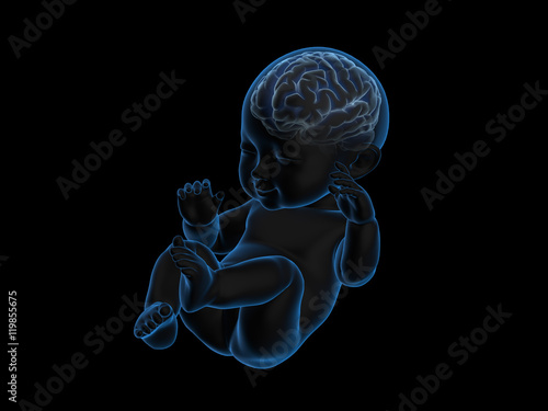 3d rendering x-ray of baby with brain inside.
