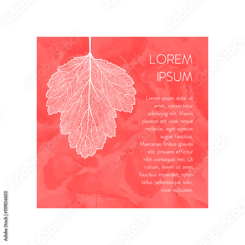 manually drawn leaf skeleton