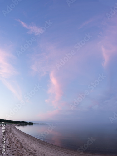 Canvas Print Evening sunlight and spruce tree on the coast, pink clouds and blue sky background