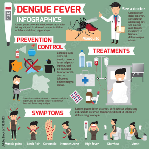Dengue fever infographics. template design of details dengue fev