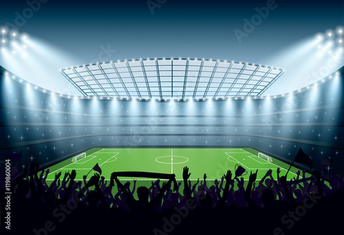 Excited crowd of people at a soccer stadium.