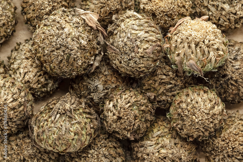 Fototapeta premium Organic dry White Akarkara Seeds (Anacyclus Pyrethrum). Macro close up background texture. Top view.