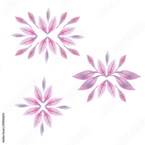 watercolor decorative elements set  pink rose blue l