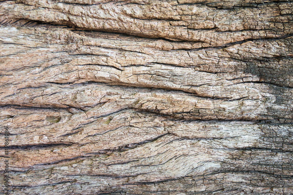Old wood wall - texture or background. Old wood wall - texture or background.