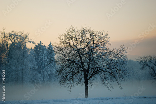 The first snows in the north