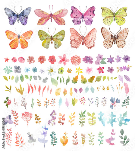 Photography Flower watercolor illustration