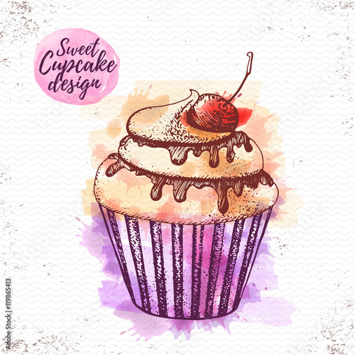 Watercolor sweet cupcake vector illustaration