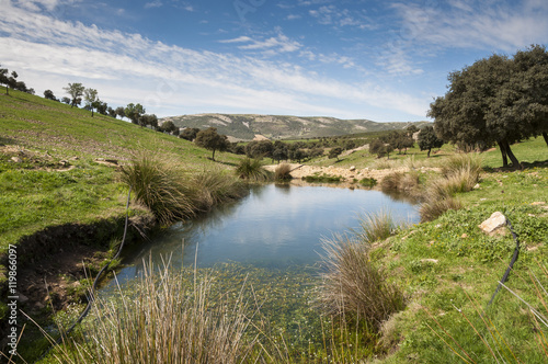 Water hole for cattle in Toledo Mountains, Ciudad Real Province, Spain © ihervas