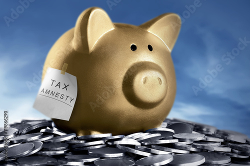 Photography Tax amnesty quote tacked on gold piggy bank