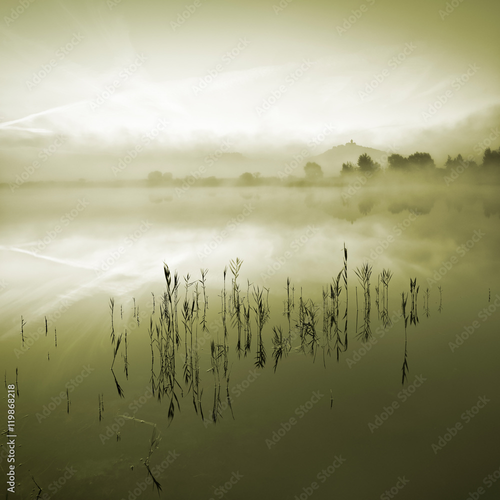 Reed in Calm Lake at Dawn, Fog Rising from Water, Wachsenburg Castle behind