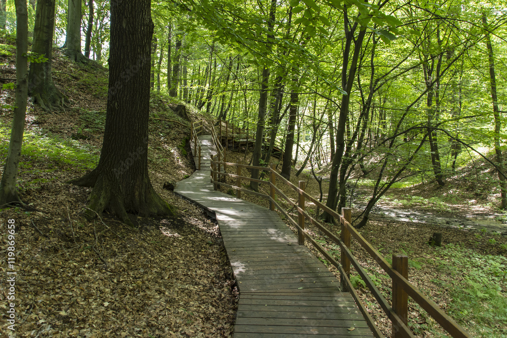 Footbridge wooden path in the woods. Footbridge wooden path in the woods.