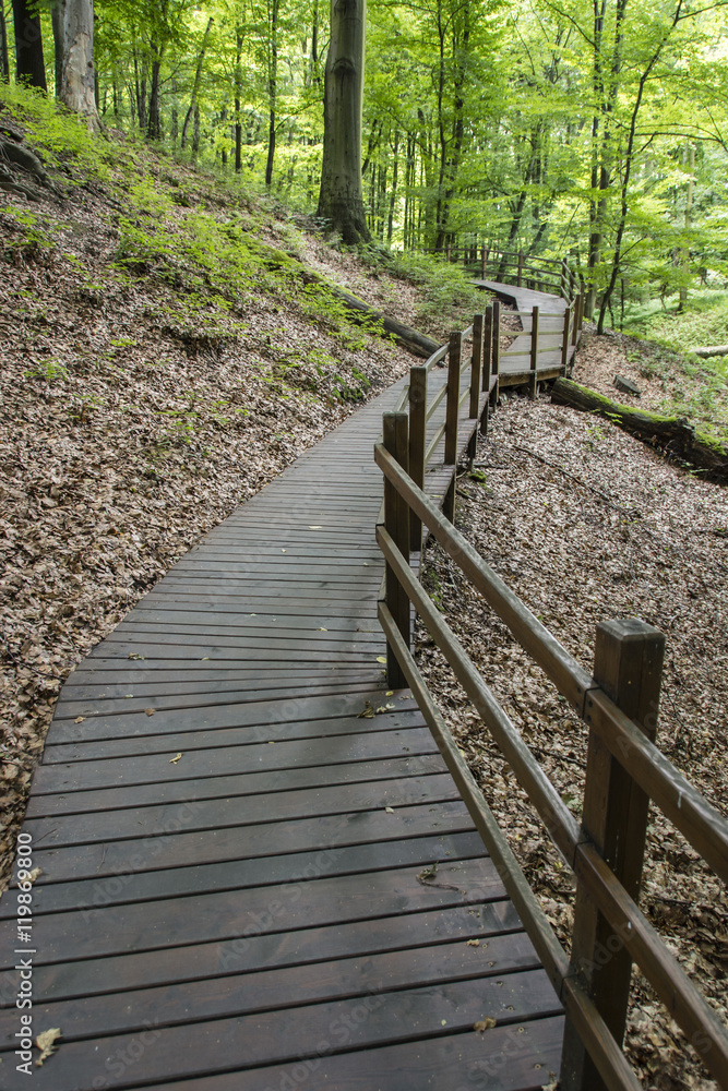 Footbridge wooden path in the woods.