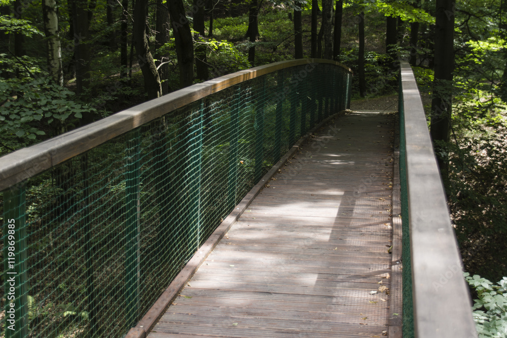 A wooden bridge over a gorge in the forest.