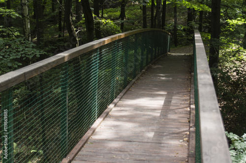 A wooden bridge over a gorge in the forest.