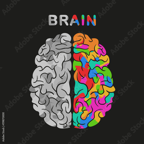 left and right brain hemisphere. Vector concept illustration.