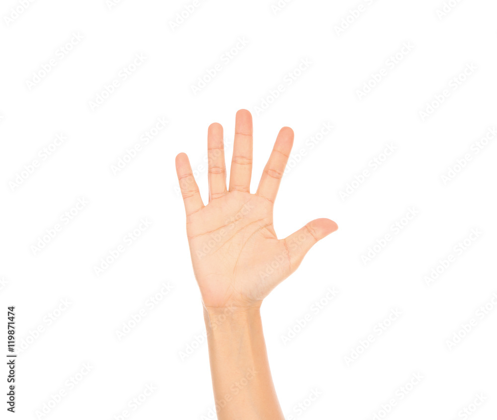 Beautiful woman hand isolated on white background . Beautiful woman hand isolated on white background .