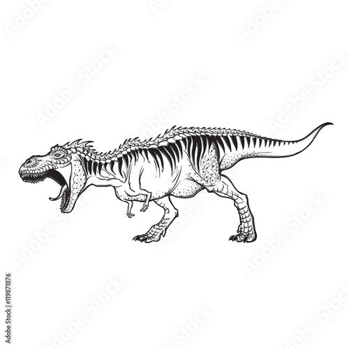 Tyrannosaurus roaring sketch on White background