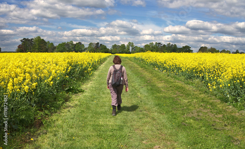 Lady walking between Fields of Yellow Rapeseed © Chris Lofty