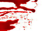Halloween concept : Blood splatter on white background .