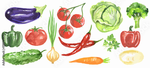 Watercolor vegetables set. Fresh and healthy vegetables on white background. Great source of vitamin. Eggplant, tomato, chili and more.