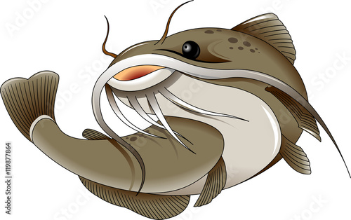 catfish
