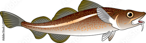 codfish