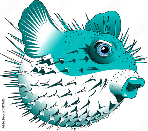 puffer fish,blow fish,cartoon vector image isolated on white background