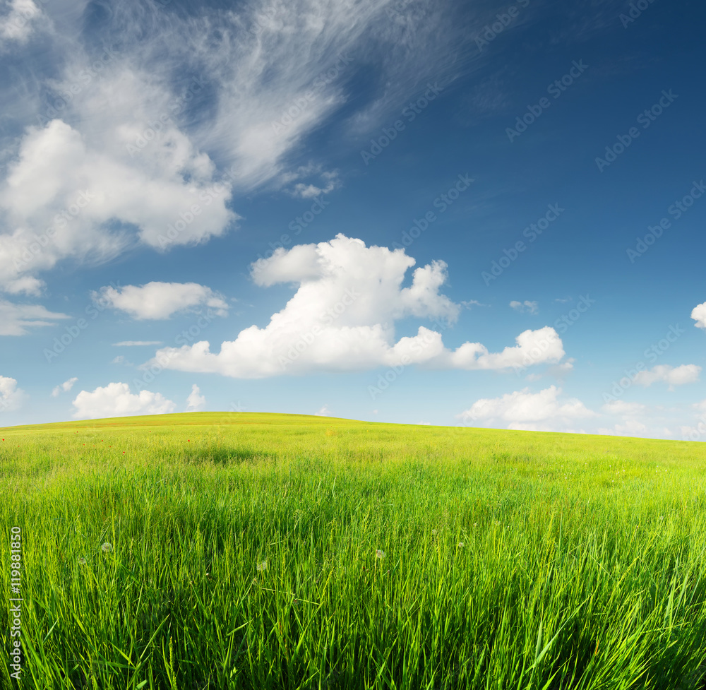 Green field in the mountain valley. Beautiful summer landscape Green field in the mountain valley. Beautiful summer landscape
