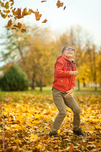 Young boy throwing leaves in autumn park © Olga Gorchichko