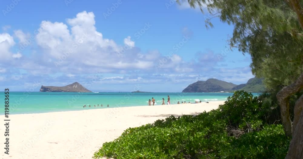 Turquoise water in Waimanalo Beach at sunny day. Windward side of Oahu Island, Hawaii
Turquoise water in Waimanalo Beach at sunny day. Windward side of Oahu Island, Hawaii