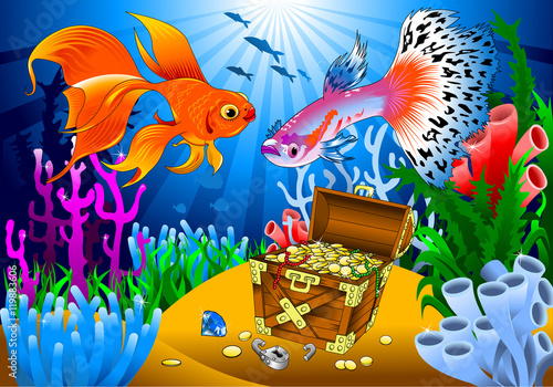 dogfish and guppy fish
