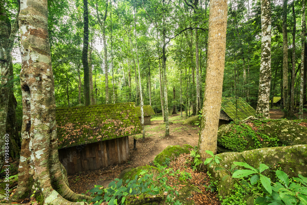 Old camp at the evergreen forest Old camp at the evergreen forest