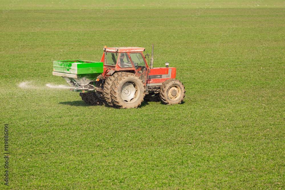 Farmer in tractor fertilizing wheat field at spring with npk Farmer in tractor fertilizing wheat field at spring with npk