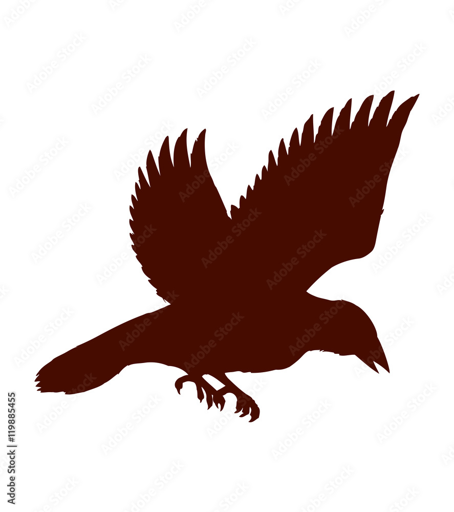 Obraz premium Bird. Vector drawing