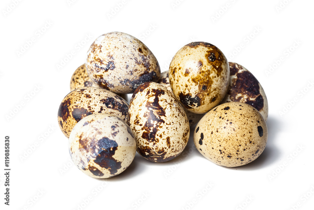 Quail eggs are isolated on a white background Quail eggs are isolated on a white background