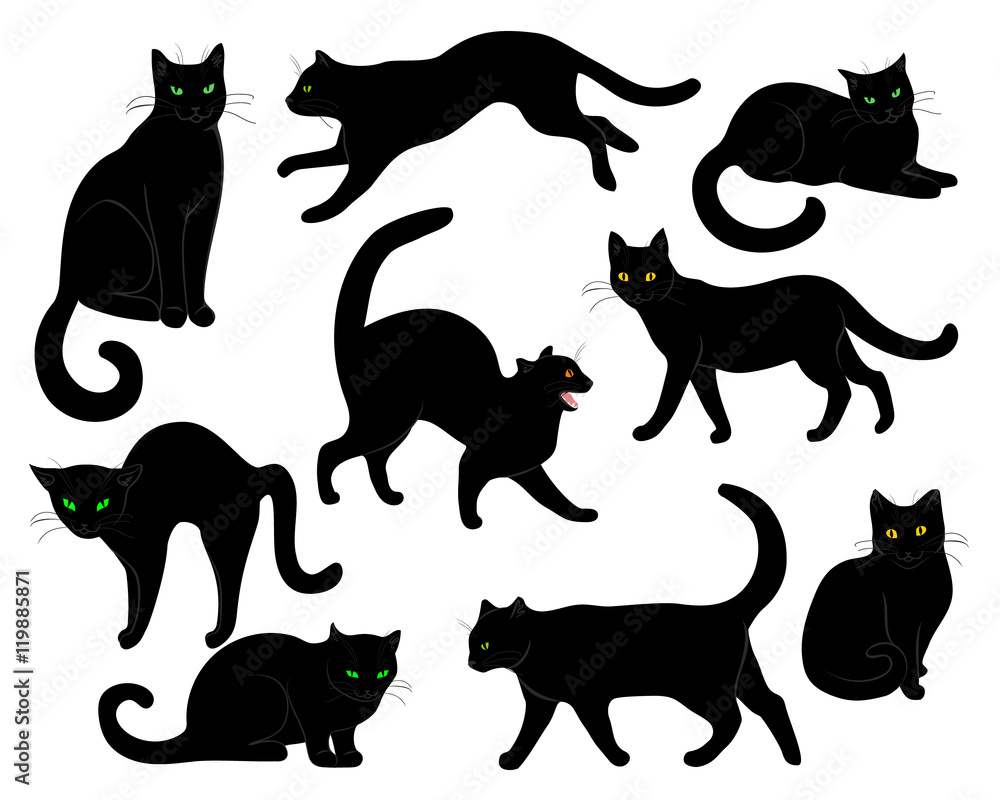 black cats set