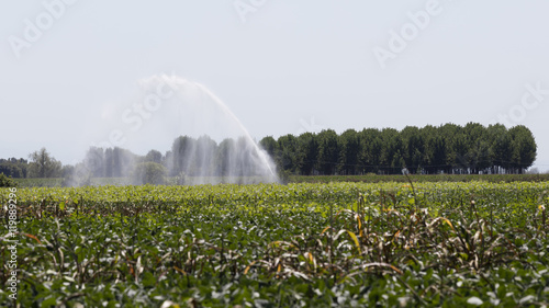 irrigation fields