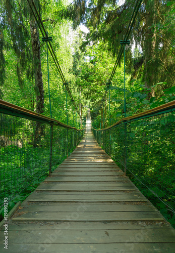 Fototapeta Naklejka Na Ścianę i Meble -  Suspension bridge ferriage in the woods
