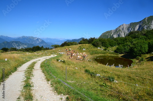 Wallpaper Mural salita sul monte Cuarnan Torontodigital.ca