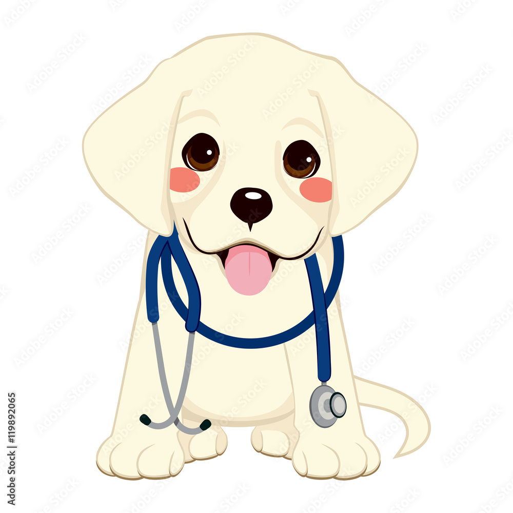 Fototapeta premium Cute golden retriever puppy dog as vet with stethoscope on his neck