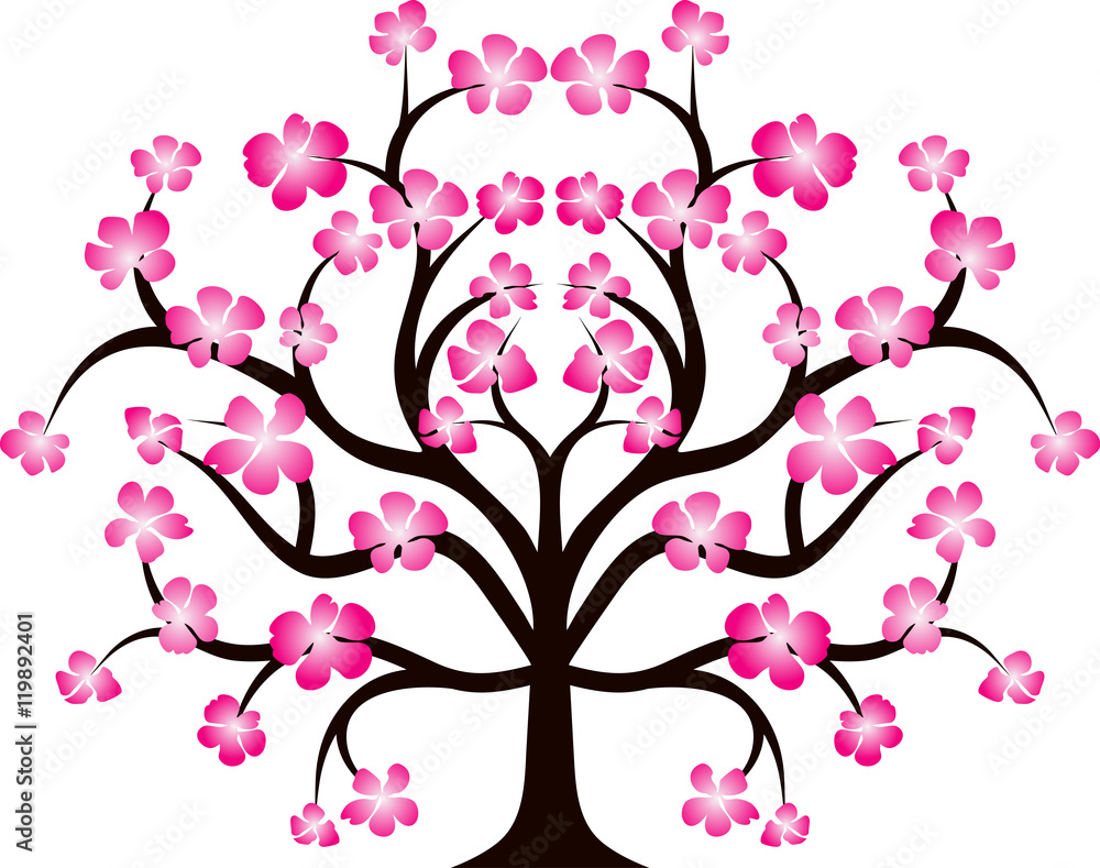 Obraz premium Sacura