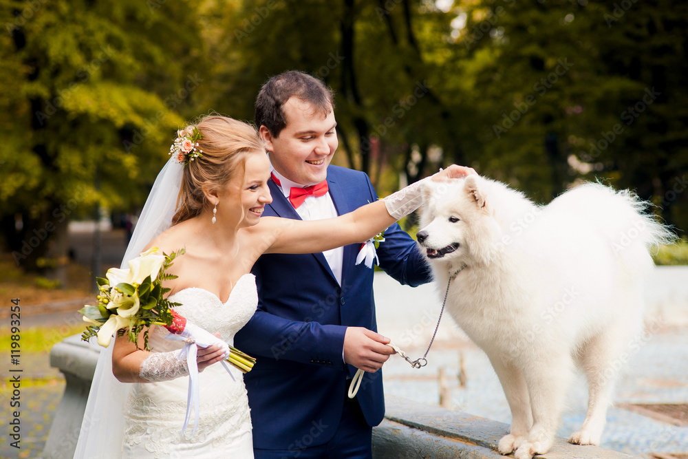 Amazing wedding couple with cute white hasky Amazing wedding couple with cute white hasky