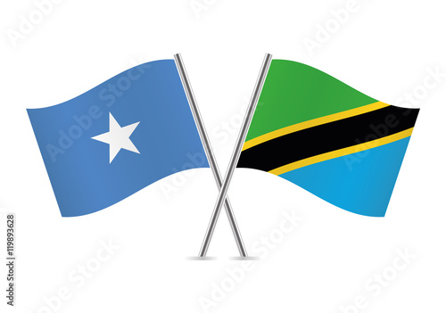 Somalia and Tanzania flags. Vector illustration.