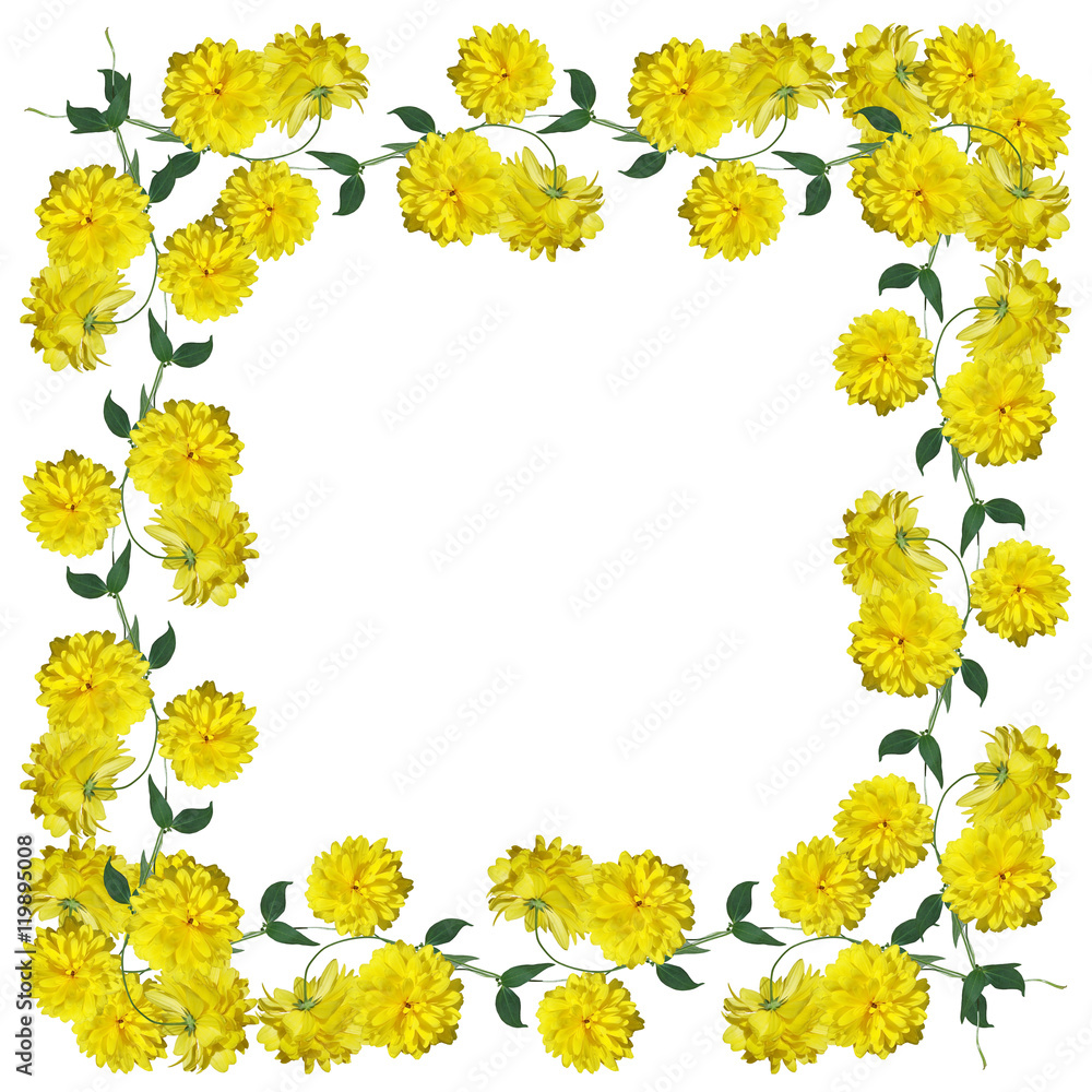 Beautiful summer background of delicate yellow flowers Beautiful summer background of delicate yellow flowers