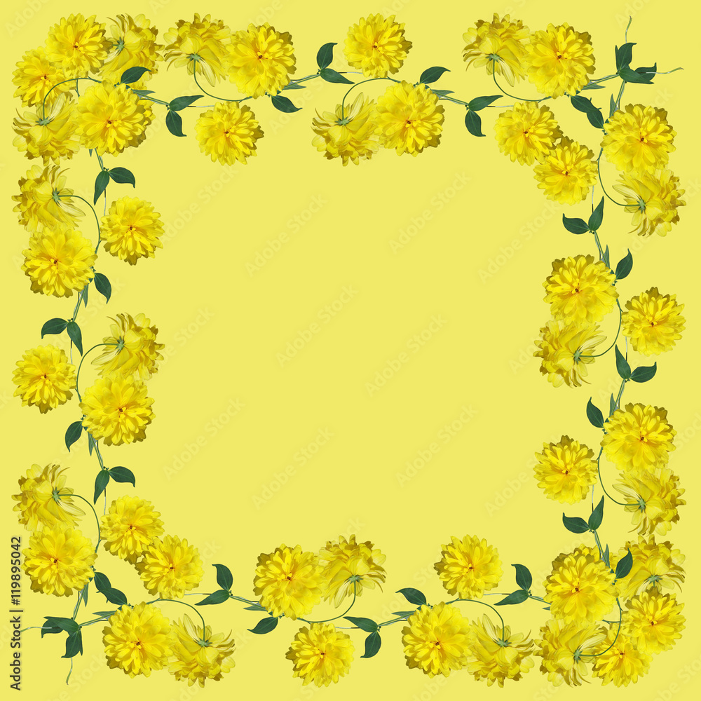 Beautiful summer background of delicate yellow flowers Beautiful summer background of delicate yellow flowers