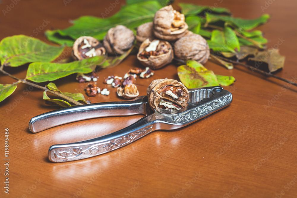 Steel Nutcracker against background of group of walnuts Steel Nutcracker against background of group of walnuts
